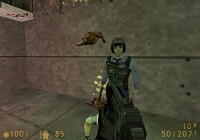 halflife.png